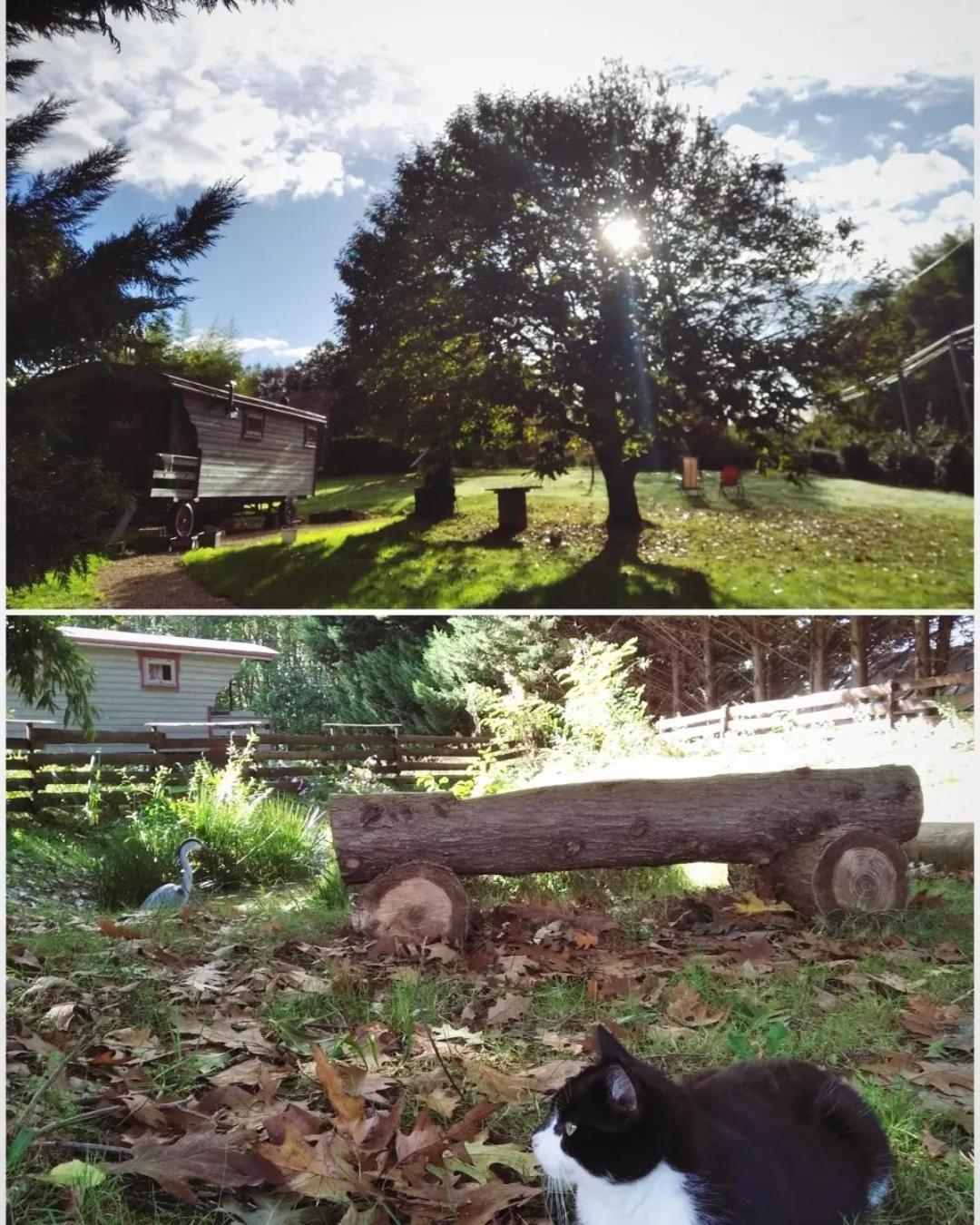 Tente Trappeur Ada, Au Jardin De La Vouivre Saint-Vincent-en-Bresse Екстериор снимка