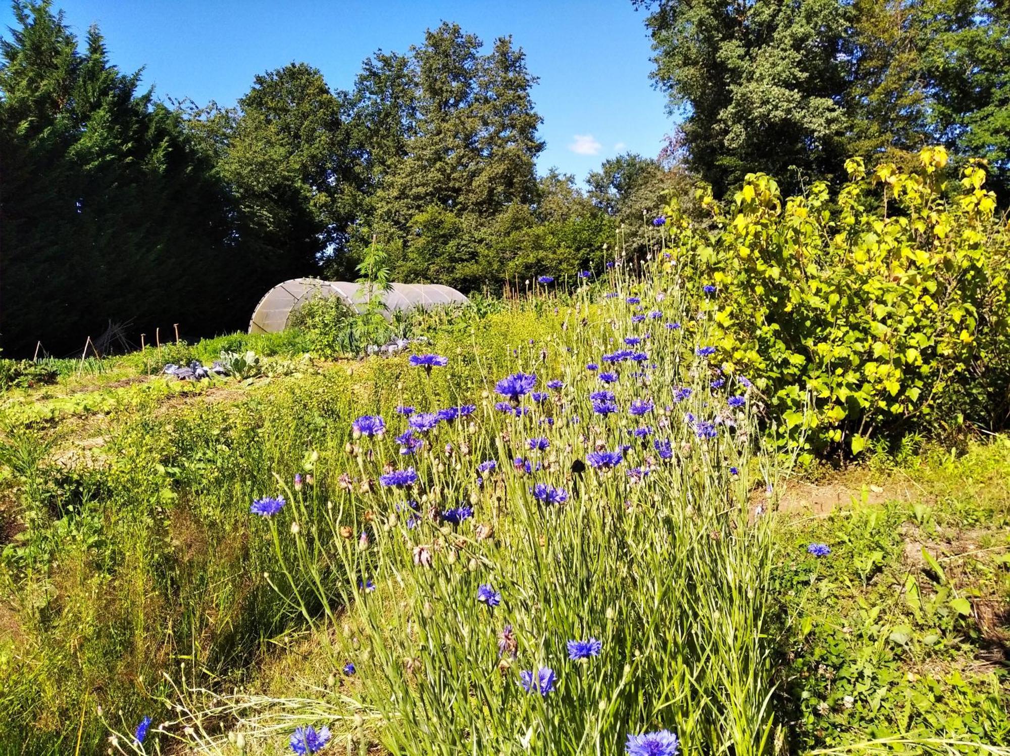 Tente Trappeur Ada, Au Jardin De La Vouivre Saint-Vincent-en-Bresse Екстериор снимка
