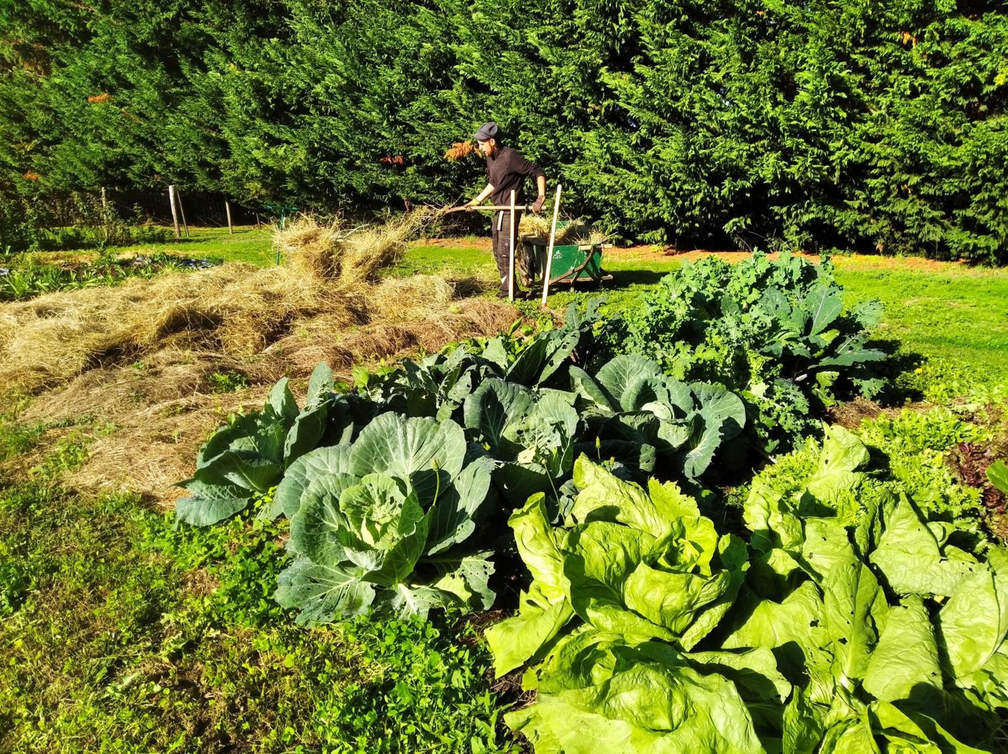 Tente Trappeur Ada, Au Jardin De La Vouivre Saint-Vincent-en-Bresse Екстериор снимка