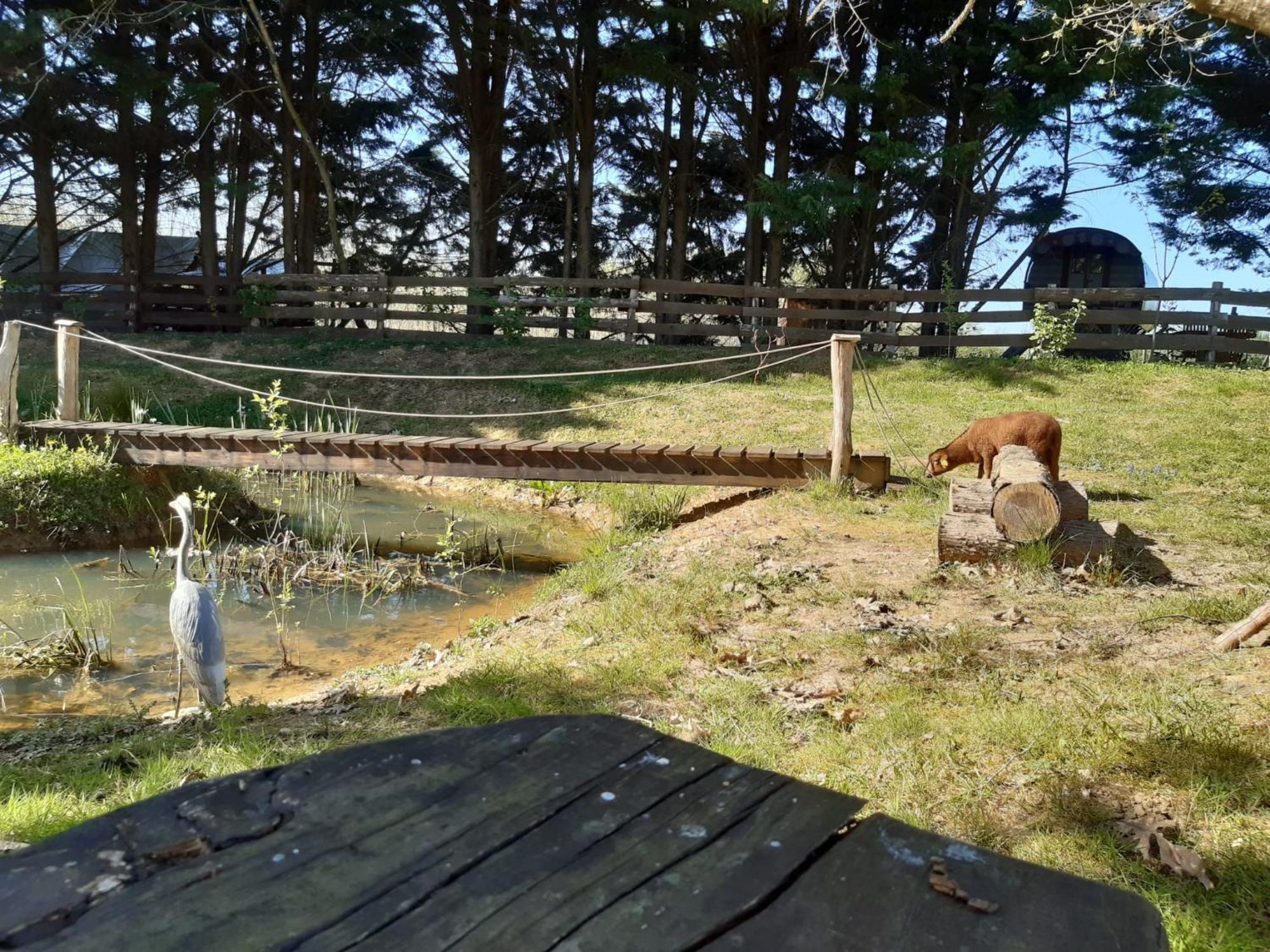 Tente Trappeur Ada, Au Jardin De La Vouivre Saint-Vincent-en-Bresse Екстериор снимка