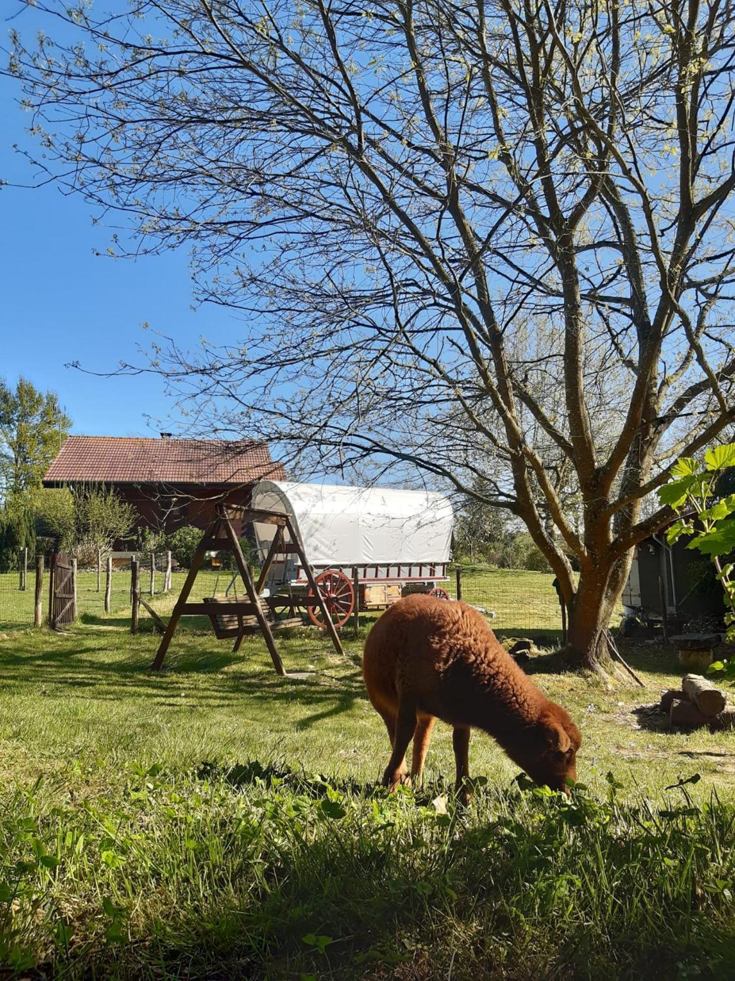 Tente Trappeur Ada, Au Jardin De La Vouivre Saint-Vincent-en-Bresse Екстериор снимка